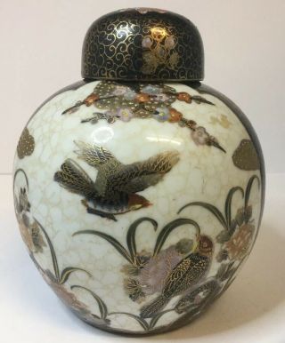Vintage Hand Painted Japanese Satsuma Ginger Jar,  Famille Noir.  Birds Paradise