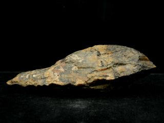ANCIENT Quartzite HAND AXE - Acheulean Civilization - 15 cm LONG - Sahara 3
