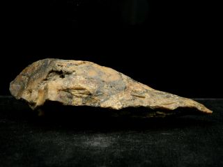 ANCIENT Quartzite HAND AXE - Acheulean Civilization - 15 cm LONG - Sahara 4