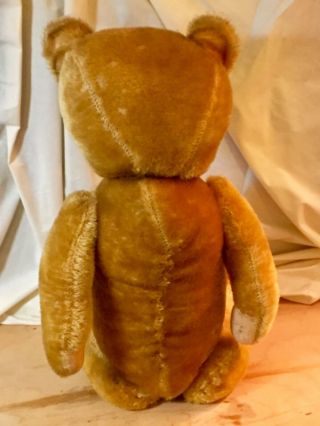 23”ANTIQUE PRE - 1920s AMERICAN TEDDY BEAR,  HUMPBACK,  GOLD BRISTLY BEAUTY 10