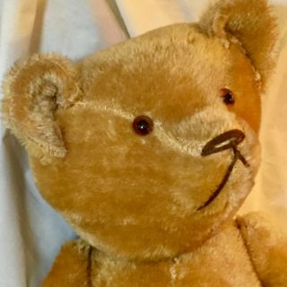 23”ANTIQUE PRE - 1920s AMERICAN TEDDY BEAR,  HUMPBACK,  GOLD BRISTLY BEAUTY 4