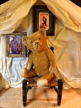 23”ANTIQUE PRE - 1920s AMERICAN TEDDY BEAR,  HUMPBACK,  GOLD BRISTLY BEAUTY 8
