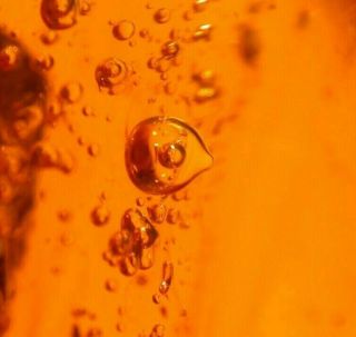 4 Winged Ants with Ancient Water Bubble in Authentic Dominican Amber Fossil 8