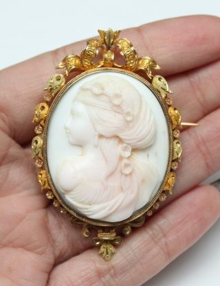 Antique 18kt 3 - Color Gold Carved Angel Coral Cameo Pin Woman,  Flowers