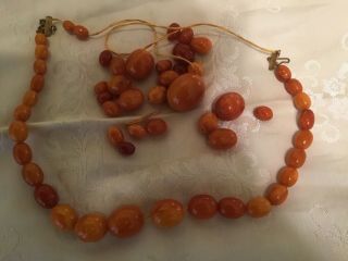 Antique Natural Butterscotch Egg yoke Amber 2 strand Necklace repair reuse 6