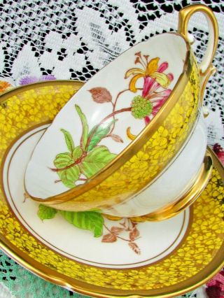 Stanley Yellow Gold Gilt Floral Chintz Pink Flower Tea Cup And Saucer