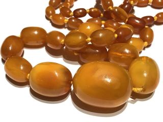 Old Antique Natural Butterscotch Egg Yolk Amber Barrel Bead 44” Necklace 67 Gr