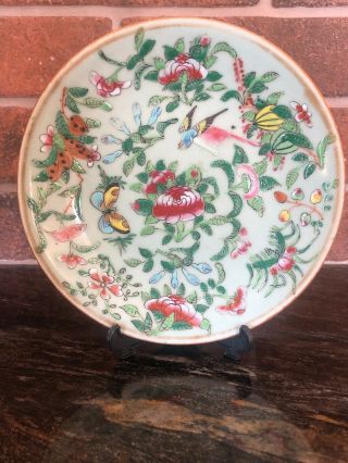 Antique Chinese Fencai - Rose Family - Hand Painted Plate Circa Late 1800s