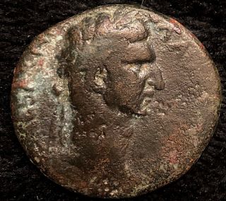 Nerva 96 - 98ad Ancient Roman Ae 29 Antioch Syria 12.  8g