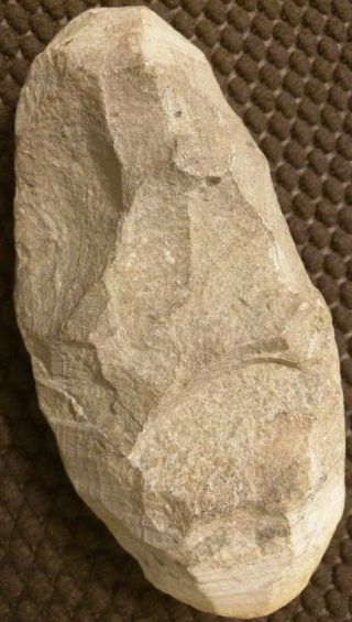 Petrified Ancient FISH FOSSIL ROCK Visible Scales &Tail 435g 14x3 cm Hand - Carved 8