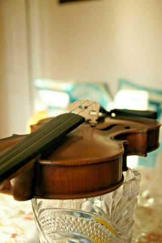 No label Stainer Old Antique Vintage Violin violin 4/4 Fiddle Geige 11