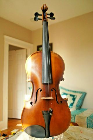 No label Stainer Old Antique Vintage Violin violin 4/4 Fiddle Geige 2