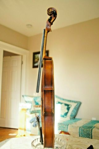 No label Stainer Old Antique Vintage Violin violin 4/4 Fiddle Geige 5
