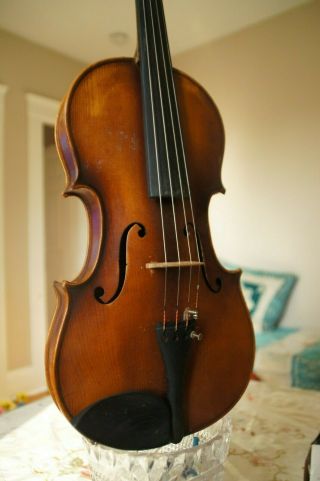 No label Stainer Old Antique Vintage Violin violin 4/4 Fiddle Geige 8