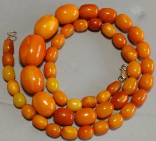 Antique Natural Butterscotch Egg Yolk Amber Beads Necklace 56.  4 Grams