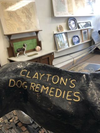 Claytons Dog Remedies Antique Advertising Paper Mache Bulldog 1895 - 1902 3
