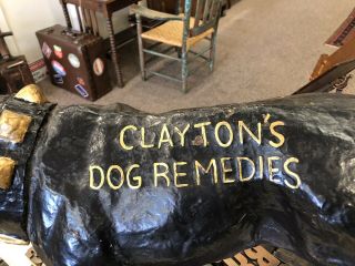 Claytons Dog Remedies Antique Advertising Paper Mache Bulldog 1895 - 1902 5