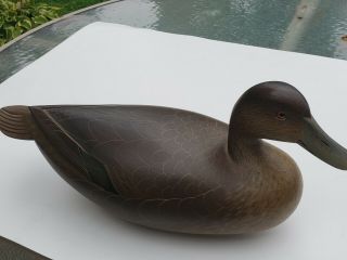 15 Inch George Strunk Wood Duck Decoy 1993 Signed Carved Glendora Nj