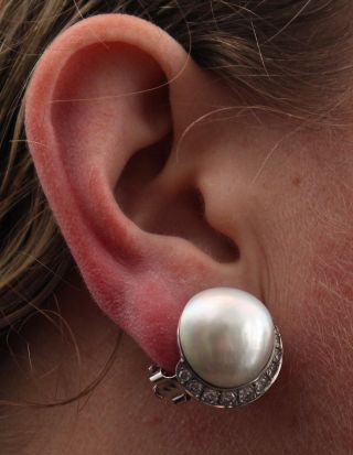 Seamen Schepp South Sea Cultured Mabe Pearl & Diamond 14kt Gold Earrings