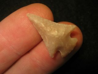 Fine Authentic Texas Scallorn Bird Point Arrowhead,  Ancient Indian Artifact 23