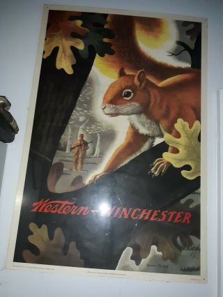 Vintage 1955 Western - Winchester Lithograph Advertising Squirrel Poster