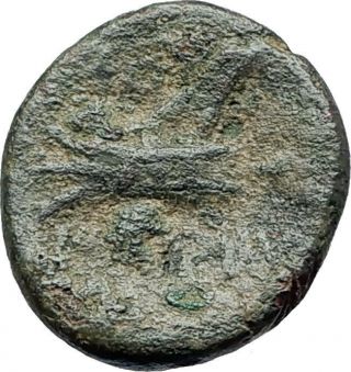 Arados In Phoenicia Authentic Ancient 206bc Greek Coin W Zeus & Galley I75452