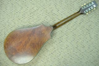 Vintage 1930 ' s Regal Octophone Mandolin - type instrument Chicago USA old player 10