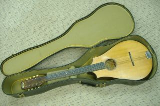 Vintage 1930 ' s Regal Octophone Mandolin - type instrument Chicago USA old player 12