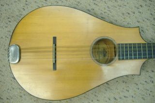 Vintage 1930 ' s Regal Octophone Mandolin - type instrument Chicago USA old player 2