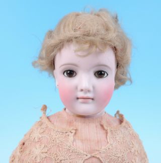 Antique Bisque Shoulderhead Doll Lace Dress Kid Body Repair Restoration German