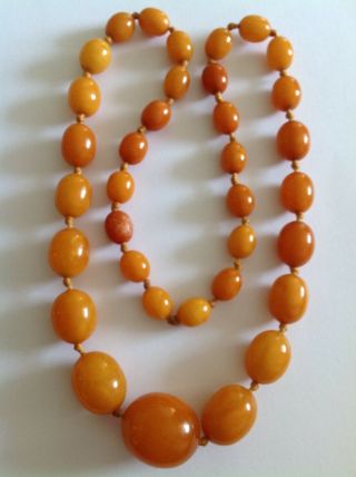 Antique Natural Egg Yolk Butterscotch Amber Graduated Bead Necklace