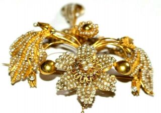 Rare Exquisite Huge Antique Georgian High Carat Gold Seed Pearl Brooch / Pin.