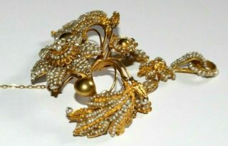 RARE EXQUISITE HUGE ANTIQUE GEORGIAN HIGH CARAT GOLD SEED PEARL BROOCH / PIN. 6