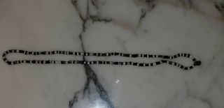 Ancient Mesopotamian Necklace - Beads 3 - 5000 years old - 24 inches 6