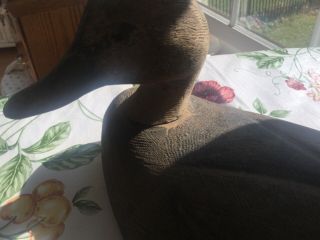 Glass - eye Duck Hunting Decoy Decoys Wood Vintage Antique 4