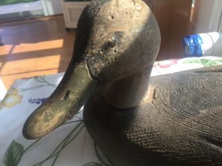 Glass - eye Duck Hunting Decoy Decoys Wood Vintage Antique 8