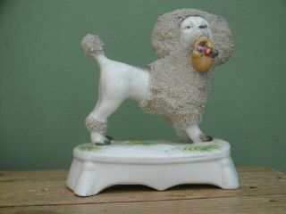 19thc PORCELAIN DRESDEN FIGURE OF A POODLE CARRYING FLOWER BASKET 2