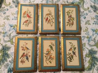 Six Vintage Wood Florentine Gold Gilt Hand Painted Bird Study Plaques