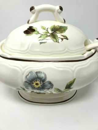 Vintage Sangostone Apple Blossom Soup Tureen with Lid and Ladle,  Made in Japan 2