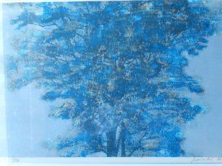 vintage Joichi Hoshi Woodblock Print Blue Tree 1973 Japanese Artist Art 12/88 10