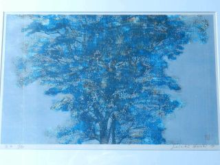 Vintage Joichi Hoshi Woodblock Print Blue Tree 1973 Japanese Artist Art 12/88