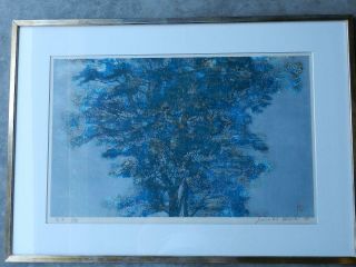 vintage Joichi Hoshi Woodblock Print Blue Tree 1973 Japanese Artist Art 12/88 2