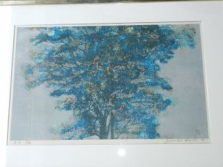 vintage Joichi Hoshi Woodblock Print Blue Tree 1973 Japanese Artist Art 12/88 4