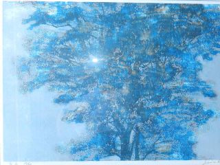 vintage Joichi Hoshi Woodblock Print Blue Tree 1973 Japanese Artist Art 12/88 7