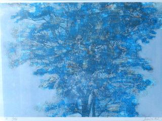 vintage Joichi Hoshi Woodblock Print Blue Tree 1973 Japanese Artist Art 12/88 8