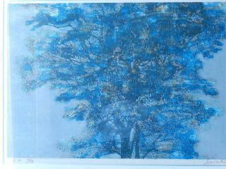 vintage Joichi Hoshi Woodblock Print Blue Tree 1973 Japanese Artist Art 12/88 9