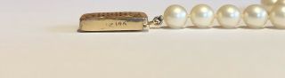 Vintage Mings Hawaii 14k Yellow Gold Pearl Necklace 7mm 32” STAMPED MINGS HAWAII 3