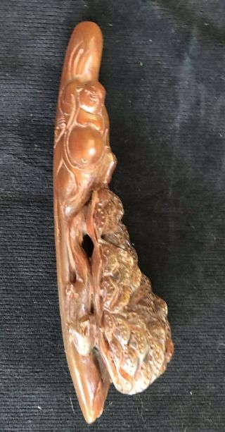 Chinese Hand Carved Buffalo Horn Sculpture With Buddha,  Pine Tree And Salamander