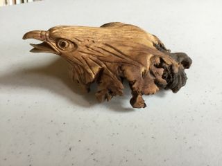 Exquisite Hand Carved Burl Wood Knot Screaming Eagle Head Folk Art Figure