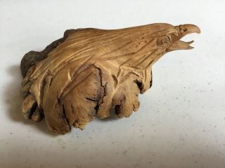Exquisite Hand Carved Burl Wood Knot Screaming Eagle Head Folk Art Figure 2